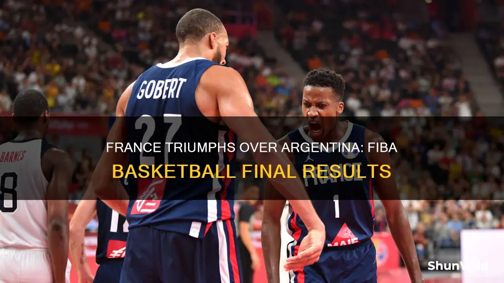 who won the france argentina fiba basketball final