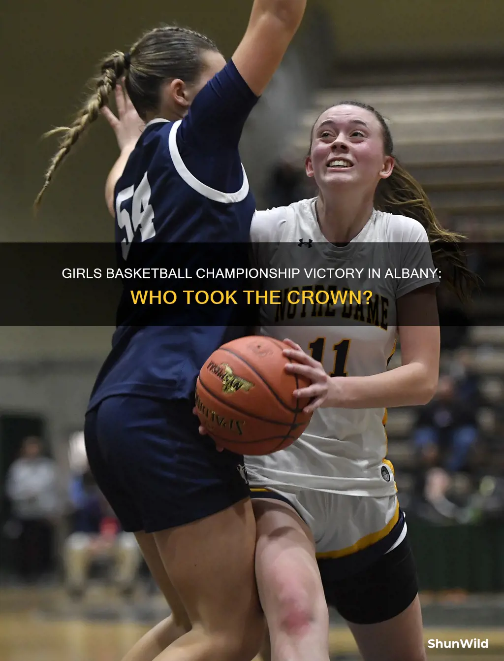 who won the girls basketball championship in albany