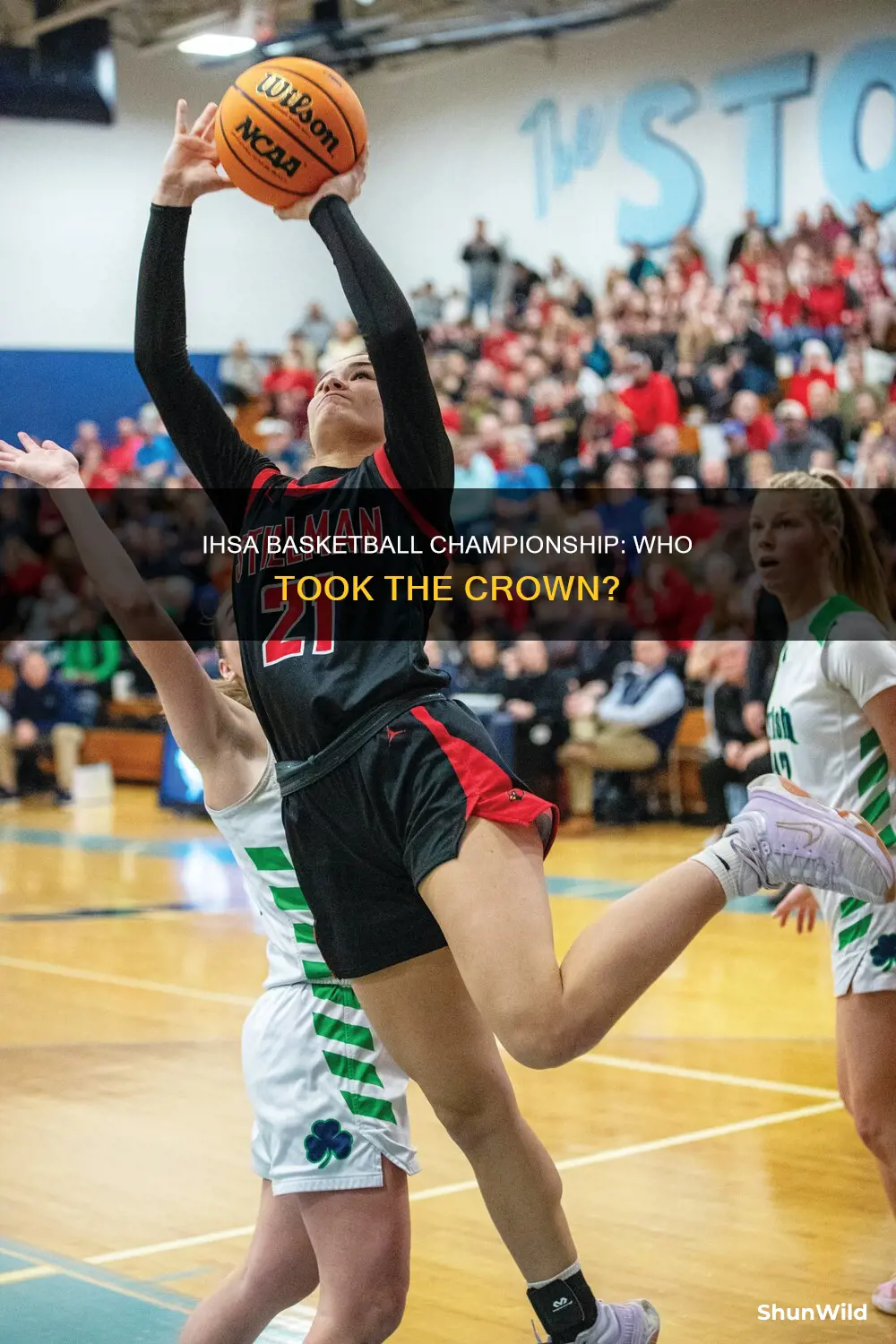 who won the ihsa basketball championship
