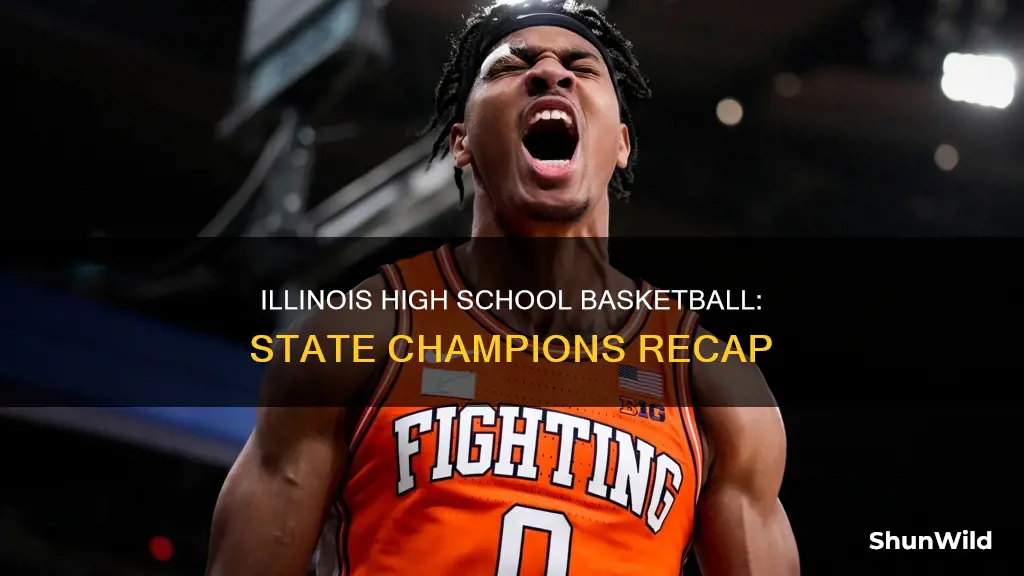 who won the illinois high school basketball championship