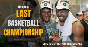 The Last Dance: Champions of the Basketball World