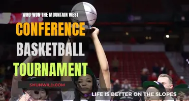 Mountain West Conference Basketball: Champion Team Analysis