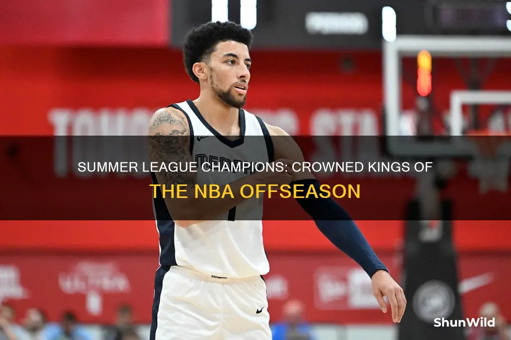 who won the nba summer league basketball