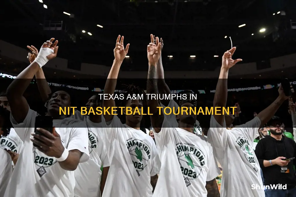 who won the nit basketball