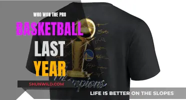 Last Year's Pro Basketball Champions: A Recap