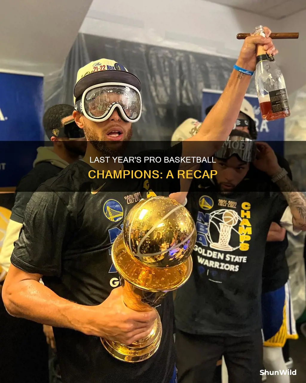 who won the pro basketball last year