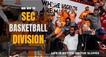 SEC Basketball Division: Champions and Contenders