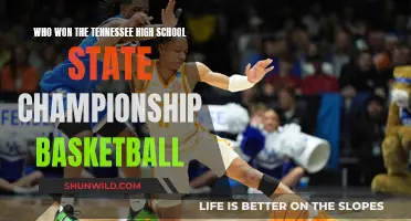 Tennessee's High School Basketball State Champions: Who Took the Crown?