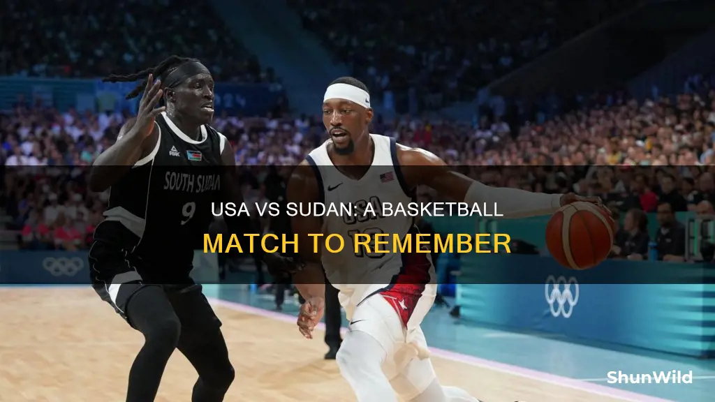 who won usa vs sudan basketball