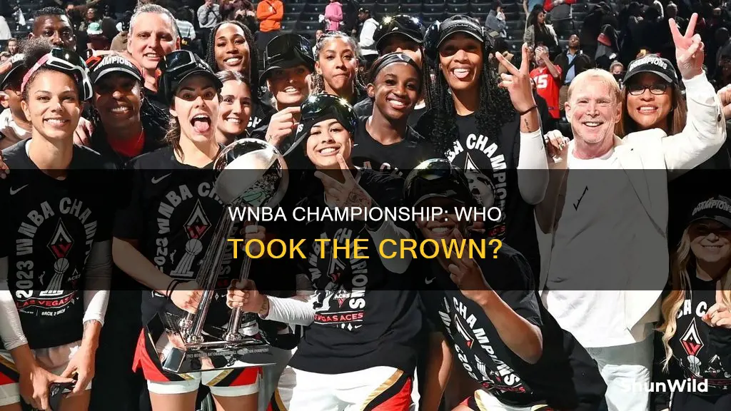 who won womens pro basketball championship