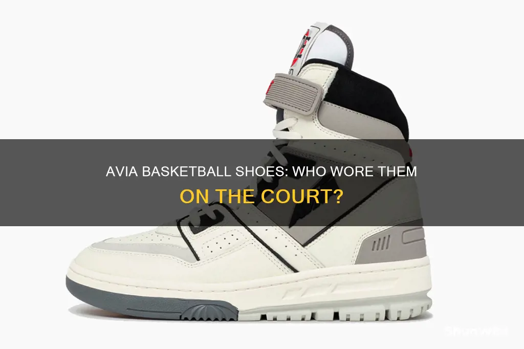 who wore avia basketball shoes