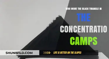 Black Triangle Symbol: Unveiling Its Meaning in Concentration Camps