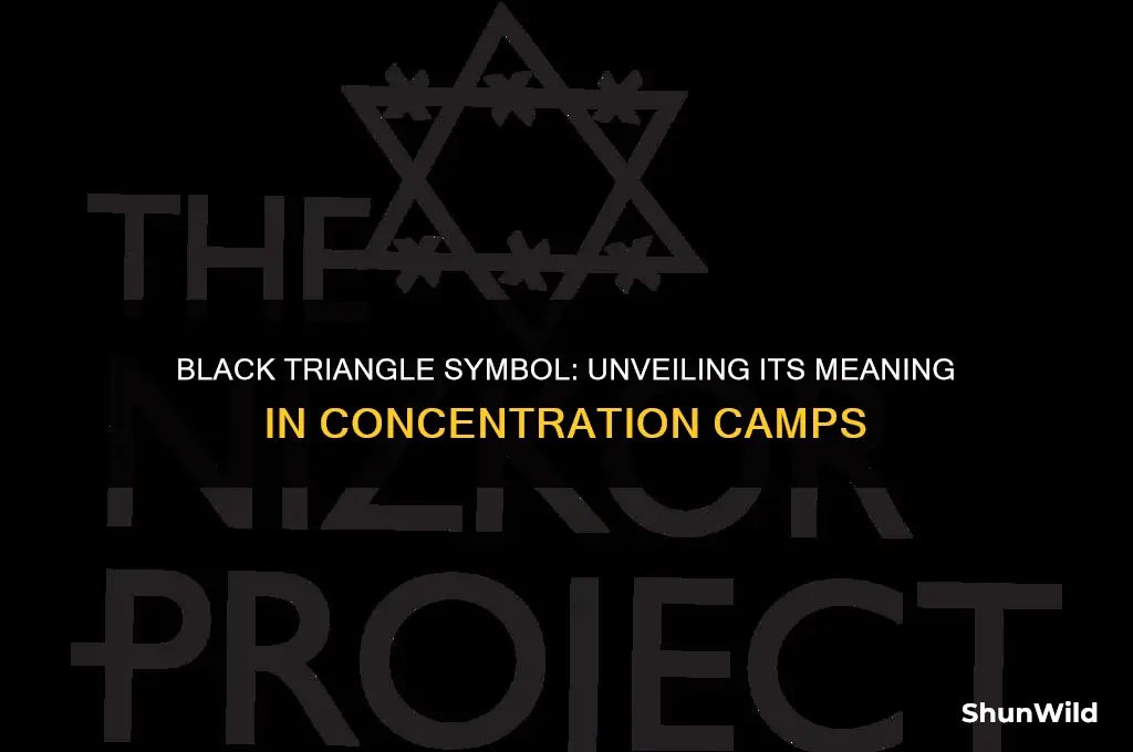 who wore the black triangle in the concentration camps