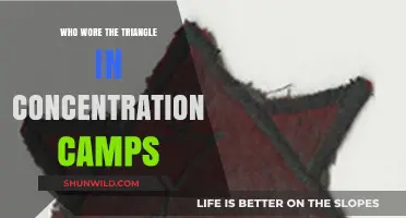 The Triangle Badges: Uncovering Their Meaning in Concentration Camps
