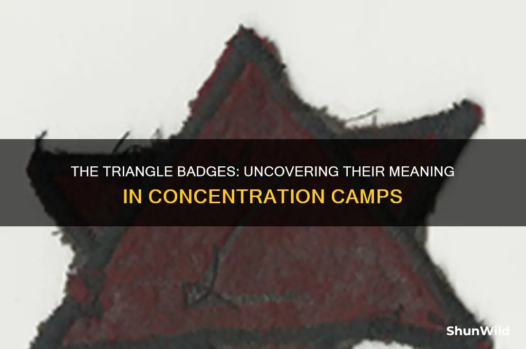 who wore the triangle in concentrations camps