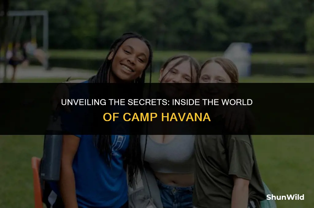 who worked at camp havana