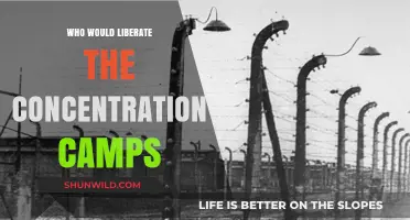 Liberating the Camps: Unveiling the Heroes Behind the Holocaust's End