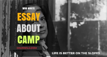 Exploring the Origins: Who Penned the Iconic Essay About Camp?