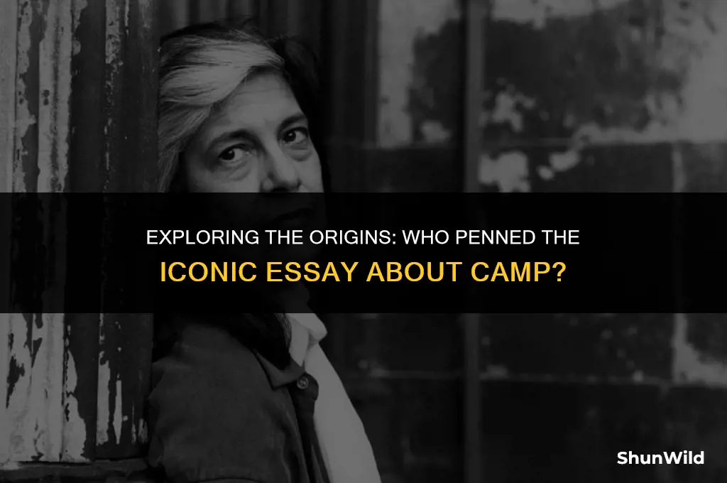 who wrote essay about camp