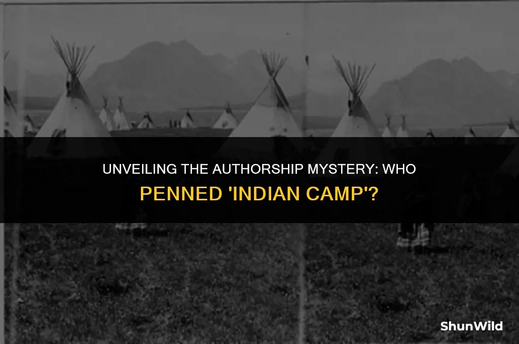 who wrote this indian camp