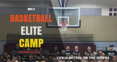 Elevate Your Game: The Power of Elite Basketball Camps