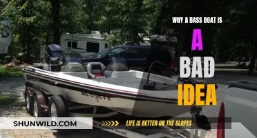 Bass Boats: Expensive, Impractical, and a Bad Investment