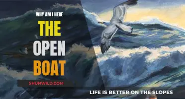 The Open Boat: Existential Crisis at Sea