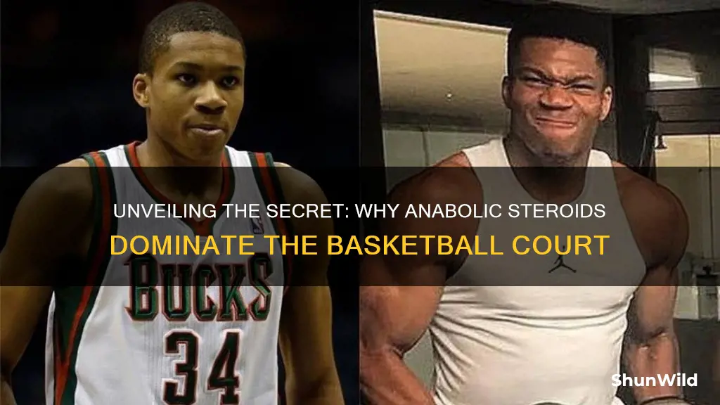 why are anabolic steroids use in basketball