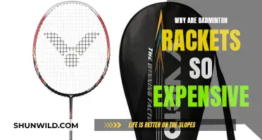 Badminton Rackets: Why the High Price?