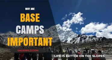The Crucial Role of Base Camps in Mountaineering Expeditions