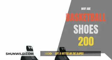 Basketball Shoes: Expensive But Worth It?