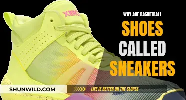 Basketball Shoes: Why "Sneakers"?