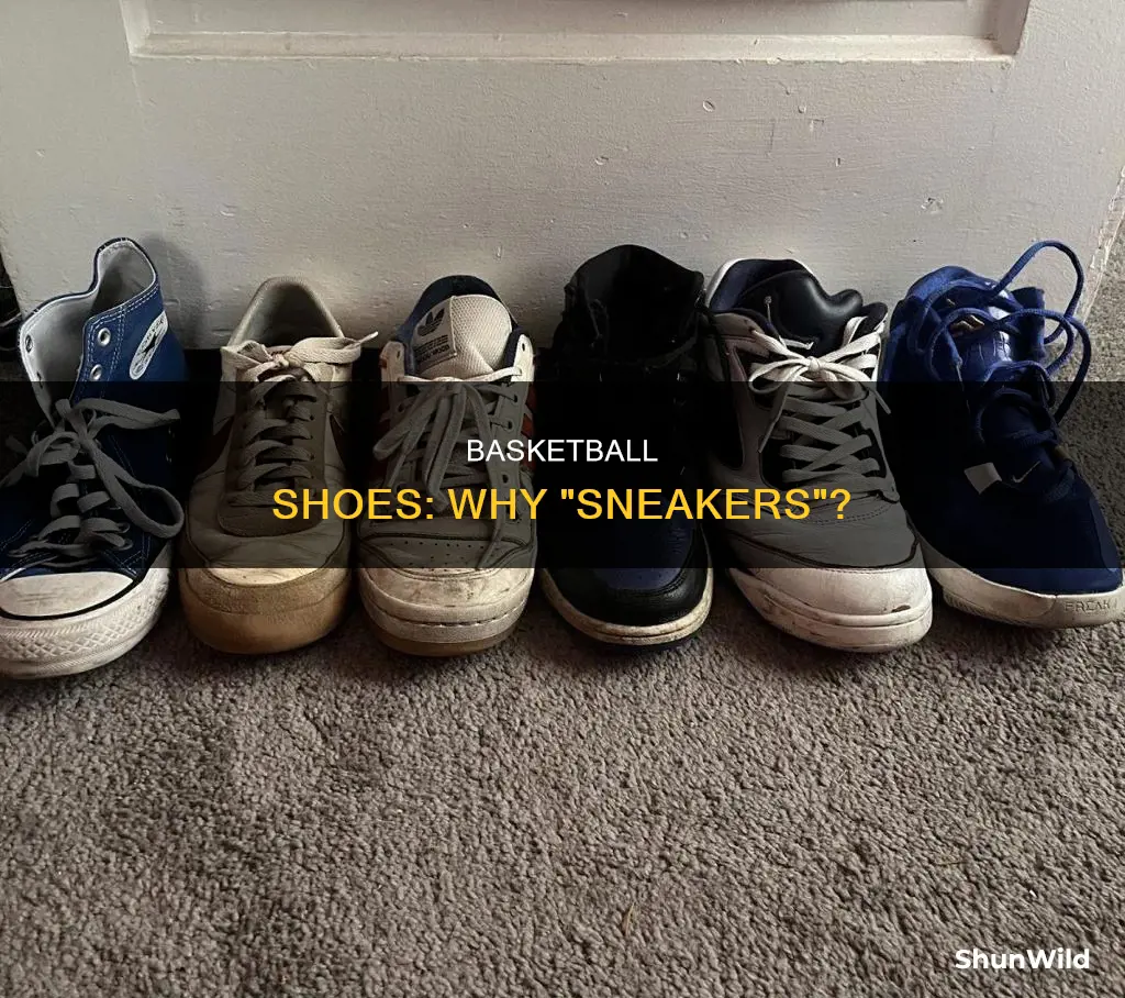why are basketball shoes called sneakers