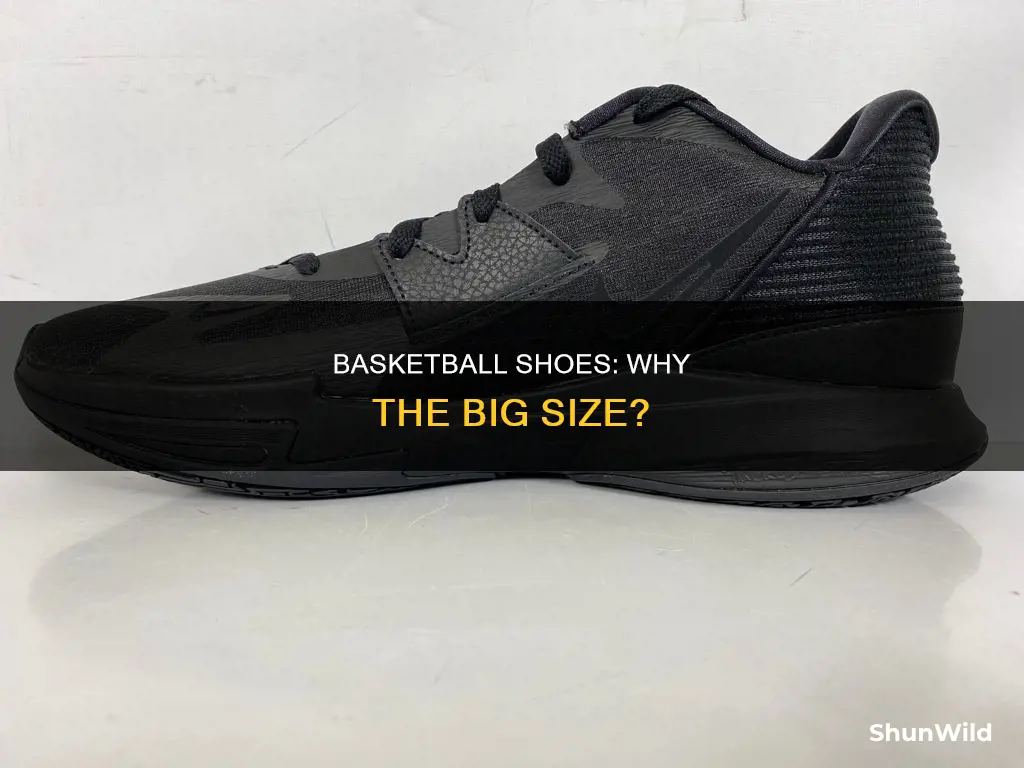 why are basketball shoes so big