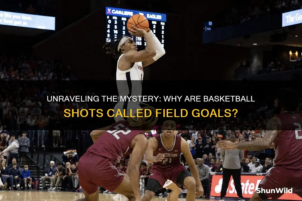 why are basketball shots called field goals