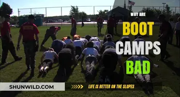 The Dark Side of Boot Camps: Harmful Impacts and Risks