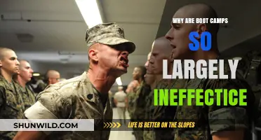 Why Boot Camps Often Fail: Uncovering Ineffectiveness in Short-Term Programs