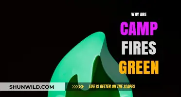Unveiling the Mystery: Why Campfires Often Glow Green
