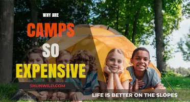 Unraveling the Cost Conundrum: Why Summer Camps Come with a Hefty Price Tag