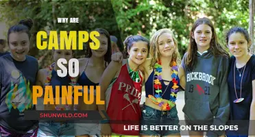 Unveiling the Hidden Struggles: Why Camps Can Be Painful