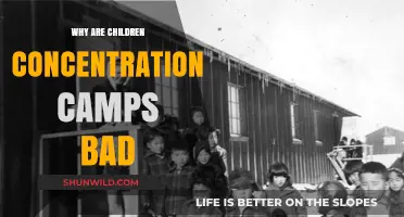 Children in Concentration Camps: A Moral and Humanitarian Crisis