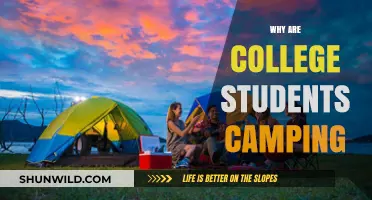 Exploring the Rise of College Student Camping: A Trend Unpacked