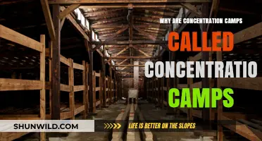 Unveiling the Origins: Why 'Concentration Camps' Bear Their Infamous Name