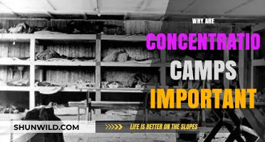 Understanding Concentration Camps: Historical Significance and Lasting Impact