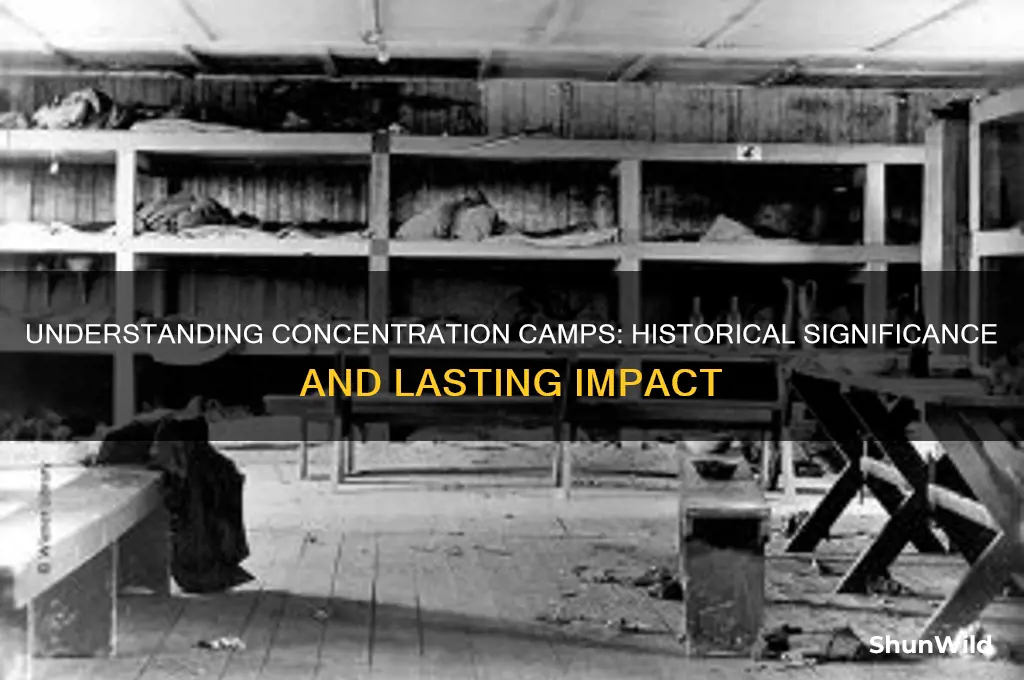 why are concentration camps important