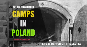 Poland's Concentration Camps: Historical Context and Lasting Impact Explained