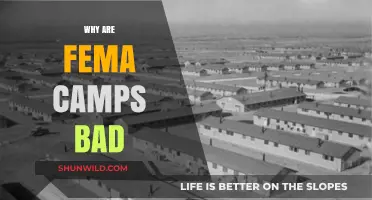 The Dark Side of FEMA Camps: A Critical Examination