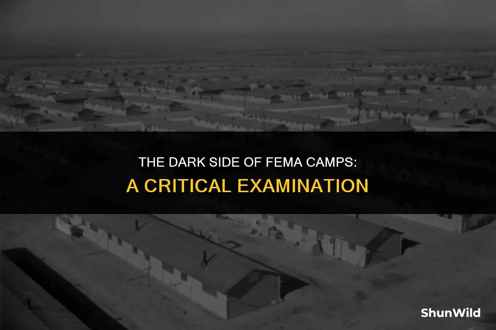 why are fema camps bad
