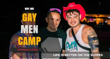 Exploring the Stereotype: Why Gay Men Are Often Perceived as Camp