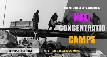 Gulags vs. Nazi Camps: Unraveling the Silence in Historical Comparisons